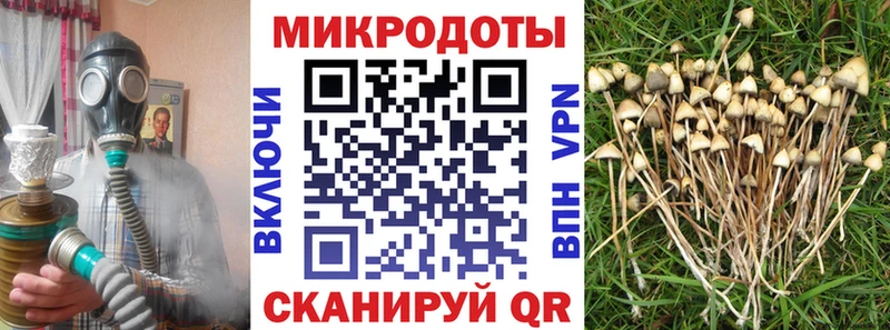 цены наркотик  Белгород  Галлюциногенные грибы GOLDEN TEACHER 