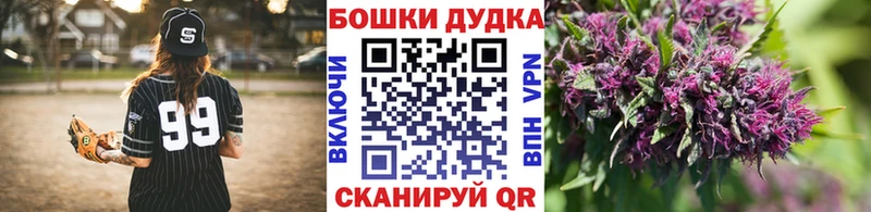 Бошки Шишки семена  где можно купить наркотик  блэк спрут ТОР  Белгород 
